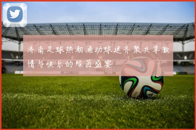 济南足球热潮涌动球迷齐聚共享激情与快乐的绿茵盛宴