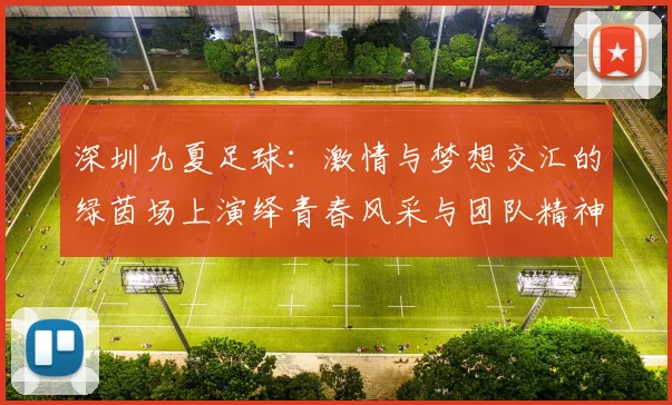 深圳九夏足球：激情与梦想交汇的绿茵场上演绎青春风采与团队精神